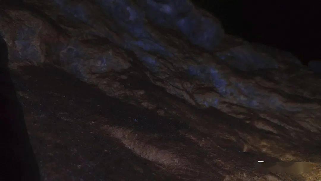 腊月二十三过小年,提醒“3菜不上桌,福气不进门”,3菜指的啥?